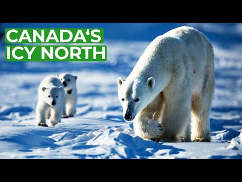 Wild Canada - Server 3