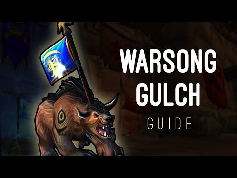 WSG Premade Guide - Detailed Meta Breakdown - Classic WoW PvP