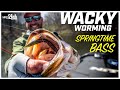 Weightless Soft Plastics Wacky Rig For Springtime Bass