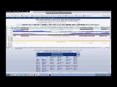 Getting started with the UCSC genome browser (tutorial 1)