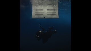 Download lagu Billie Eilish - WILDFLOWER (with BACKING VOCALS and LYRICS) mp3 Download lagu Billie Eilish - WILDFLOWER (with BACKING VOCALS and LYRICS) mp3