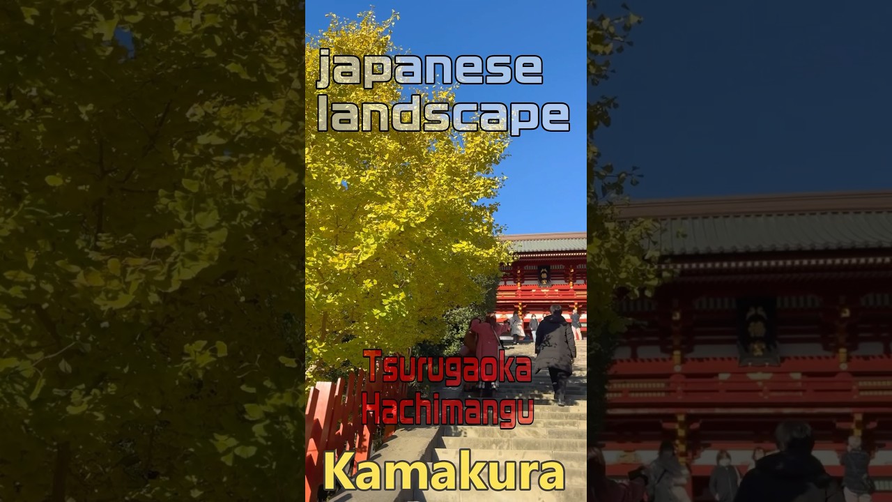 【Tsurugaoka Hachimangu】japanese landscape #travel