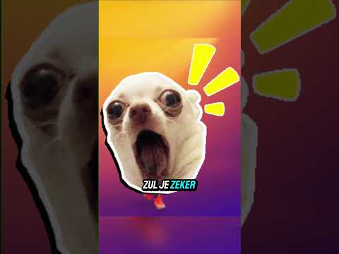 Wie is de langste NBA-speler ooit? Niet Shaq of Yao Ming!