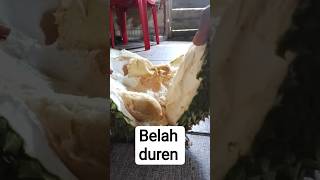 Download lagu belah duren #shorts mp3