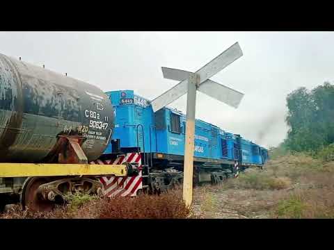 TREN pasando por (CAUCETE)