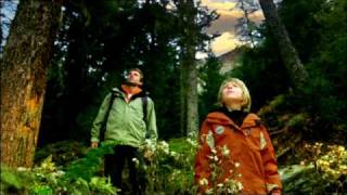 Swarovski Optik - See The Unseen