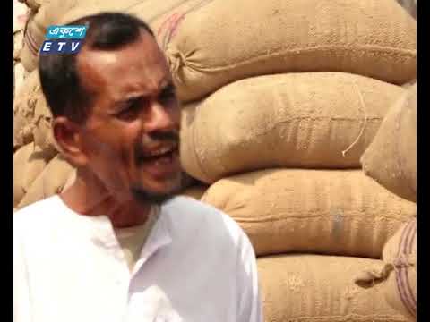 বরগুনায় আমন ধানের বাম্পার ফলন, কিন্তু বিপাকে কৃষকেরা