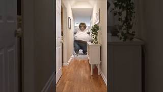 Monkey Vlog - Fat Monkey destroy home #monkey #vlog #funny