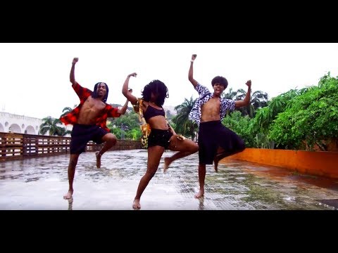 Heavy Baile - Pique Selvagem | Video Coreografia Oficial