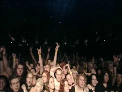 Die Ärzte - Deine Schuld [LIVE Die Band die sie Pferd nannten]