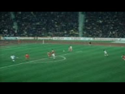 SYND 18 3 76 EUROPEAN FOOTBALL BAYERN MUNICH V BENFICA
