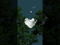 123 Dil Ko Karar Tujhe Pe Pyar Aaya Hai Aaj Pehli Baar Aaya Ho Yara WhatsApp Status