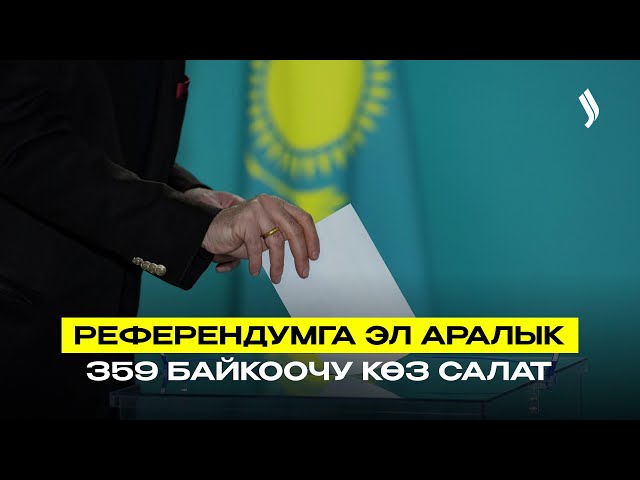 359 эл аралык байкоочу референдумдун өтүшүнө көз салат