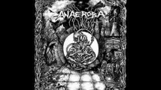 ANAEROBA - Over The Walls And Borders [FULL DEMO 2008]