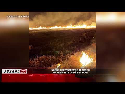 Incendii de vegetație în Argeș  ( 12 08 2021 )