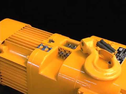 Chain Pulley Block