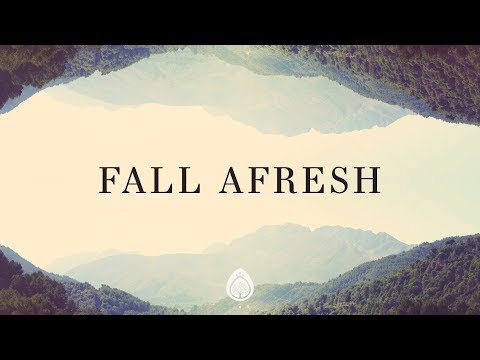 Fall Afresh