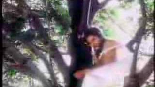 The Watchmen Boneyard Tree Video