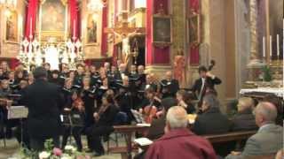 preview picture of video 'Ave Verum Corpus, KV 618 (Wolfgang Amadeus Mozart) - Coro Città di Brescia'
