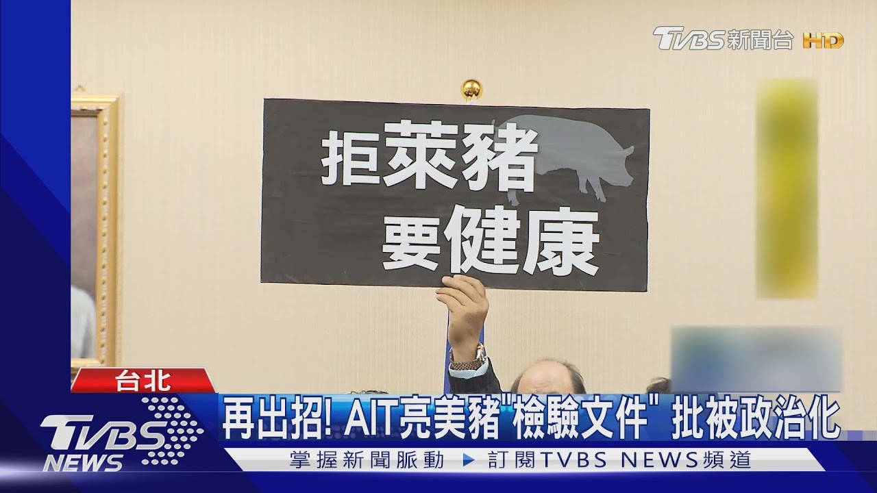 再出招!AIT亮美豬「檢驗文件」 批被政治化
