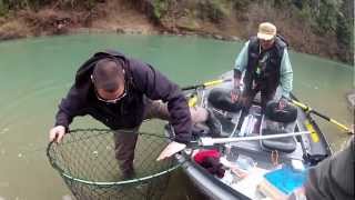 preview picture of video 'EEL River  Steelhead Fishing  Drift Boat  NorCal Sportfishing Adventures  Jan 2013'