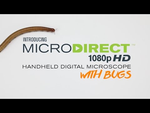 Celestron and The Bug Chicks Introduce MicroDirect with bugs