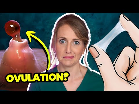 Doctor Answers Top 5 Ovulation Questions - Are you even ovulating?