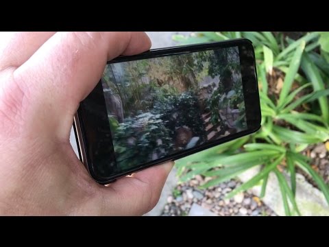 TDW 1419 - Controversial Hollywood Murder Houses