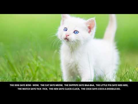 The Dog Says Bow Wow with lyrics | Animal sounds | English Nursery rhyme for kids/children - TIKE