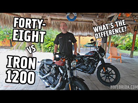 Whats the Difference?  2020 Harley-Davidson Iron 1200 vs Forty-Eight | Cody Compares Ep.12