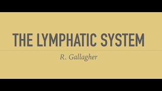The Lymphatic System