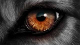 Nazareth - Rain on the window