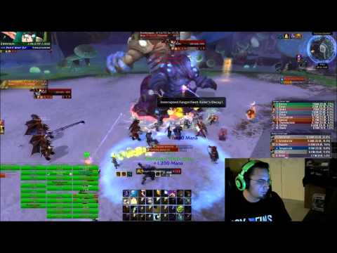 Heroic Brackenspore - Healer PoV