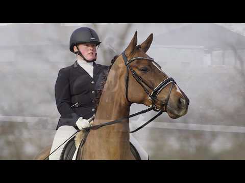 34 Ein Deal  Stute v. Escolar - Laudabilis