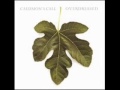 Caedmon's Call  - There Is A Reason