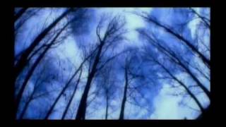 Video El Canto De Las Sirenas de Tierra Santa