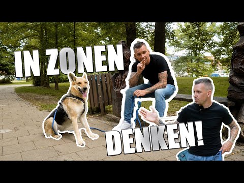 So nimmst du deinem Hund den Stress - ganz einfach!