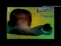 Robert Pollard - You Drove The Snake Crazy