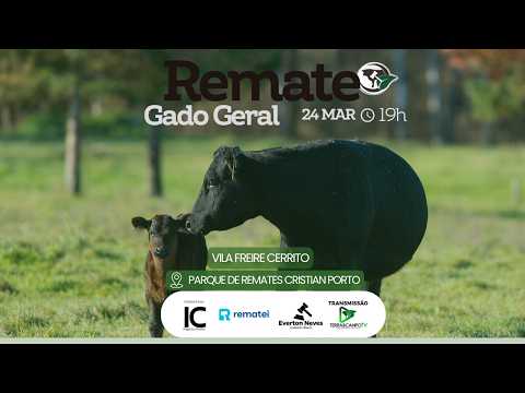 REMATE  DE GADO GERAL | CERRITO - PARQUE CISTIAN PORTO  | TERRA&CAMPO NEGÓCIOS RURAIS.