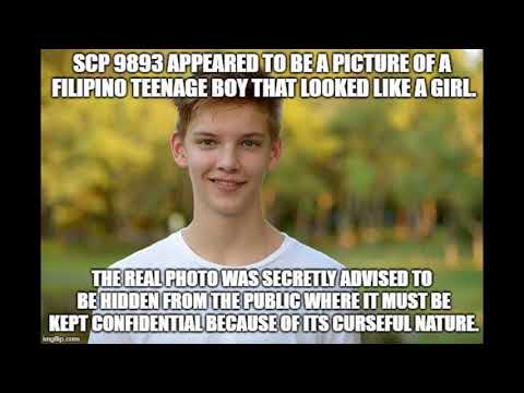 scp 9893 A good Boy