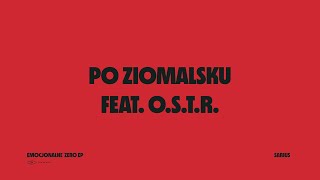 Musik-Video-Miniaturansicht zu Po ziomalsku Songtext von Sarius feat. feat. O.S.T.R.