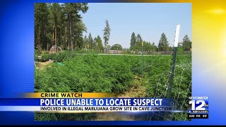 Police shut down illegal grow site in Cave Junction