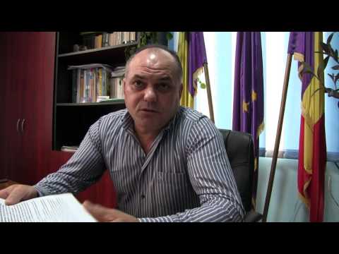 Florinel Sarion - Girov Neamț