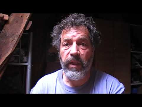 Le petit chose (Alphonse Daudet)