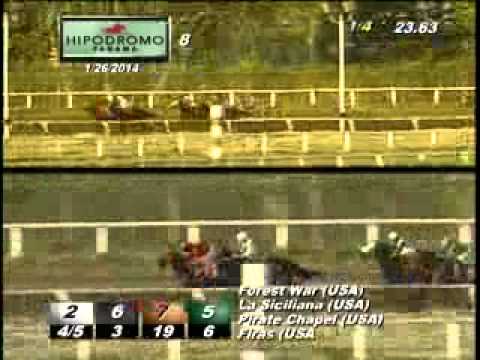 8VA CARRERA DOMINGO 26 DE ENERO 2014