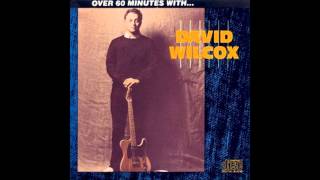 David Wilcox -  Layin` Pipe