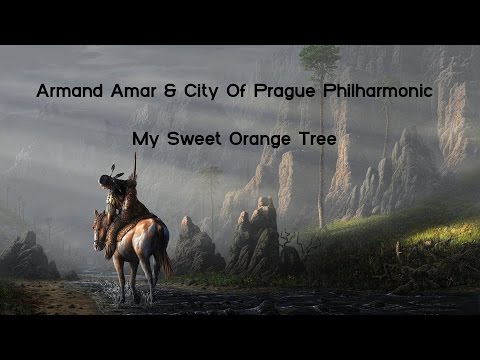Armand Amar & City Of Prague Philharmonic | My Sweet Orange Tree 2013