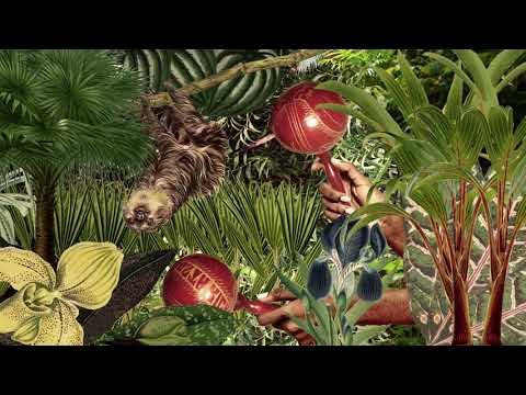 Pedro Laza Y Sus Pelayeros - Cumbia Del Monte (Official Video)