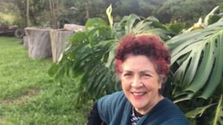 Canción No.81 NO ME DA MIEDO MORIR JUNTO A TI - canta: Dora Luz