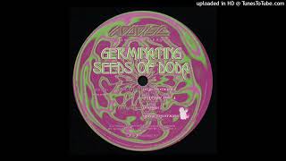 GERMINATING SEEDS OF DODA - MIDAS